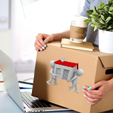 Company Registration Services in Noida